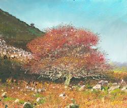 'Hawthorn, Red Darren', a limited edition print by Crispin Thornton Jones © Crispin Thornton Jones 